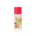 Perfume Té Verde Lichi Lima Mujer 100 Ml