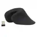 Mouse Vertical Recargable Globe