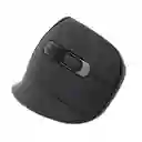Mouse Vertical Recargable Globe
