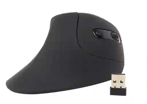 Mouse Vertical Recargable Globe