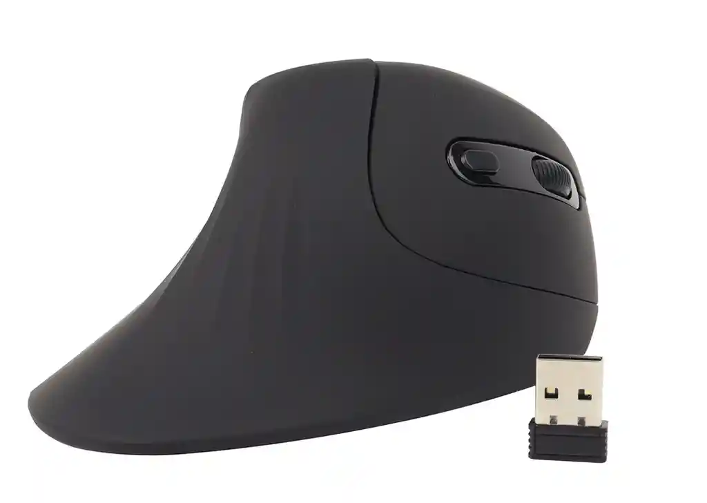 Mouse Vertical Recargable Globe