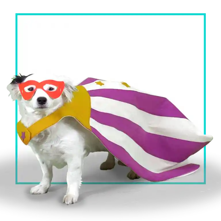 Capa Color Niño/niña