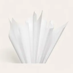 Pliego Papel Seda Blanco