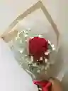 Mujer Virtuosa
