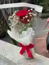 Mujer Virtuosa