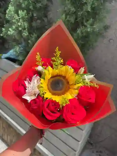 Expresivo Girasol