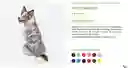 Impermeable Para Perro Color Verde Talla M