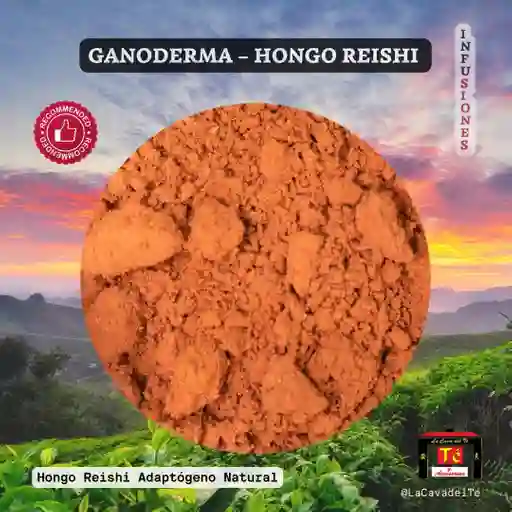 Ganoderma – Hongo Reishi