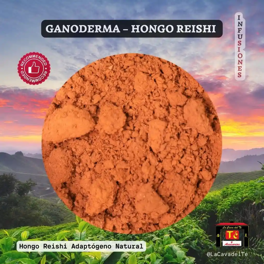 Ganoderma – Hongo Reishi