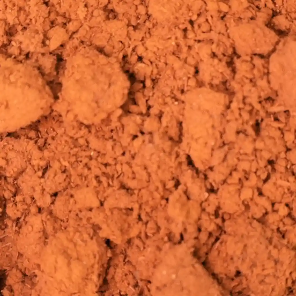 Ganoderma – Hongo Reishi