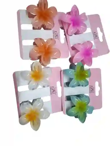Caimán Flor Hawaiana Pequeño