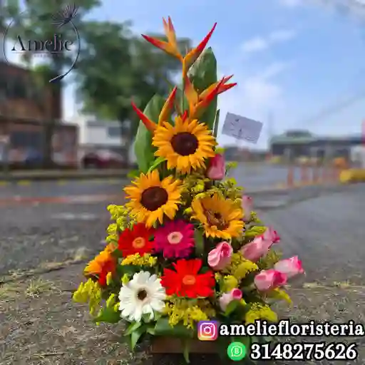 Ramo Tradicional Ternura Infinita