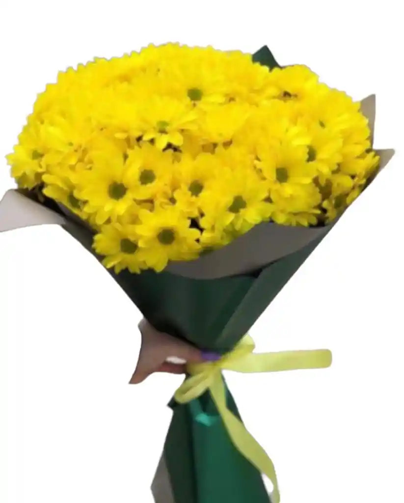 Ramillete Margaritas Lia