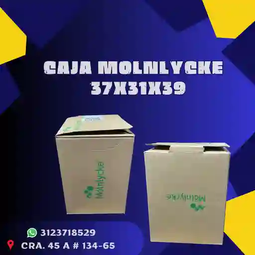 Caja Molnlycke 37x31x39