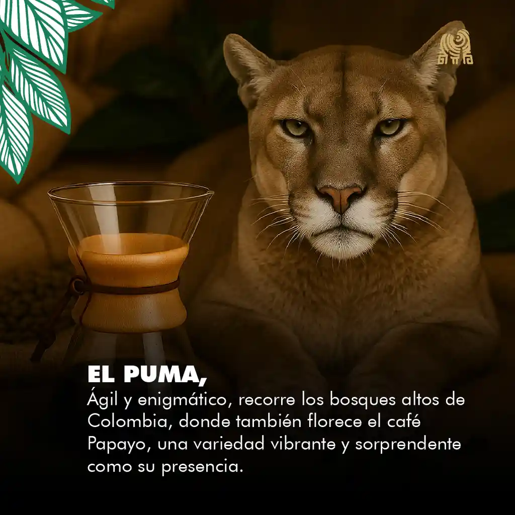 Papayo Natural Grano 2,5kg