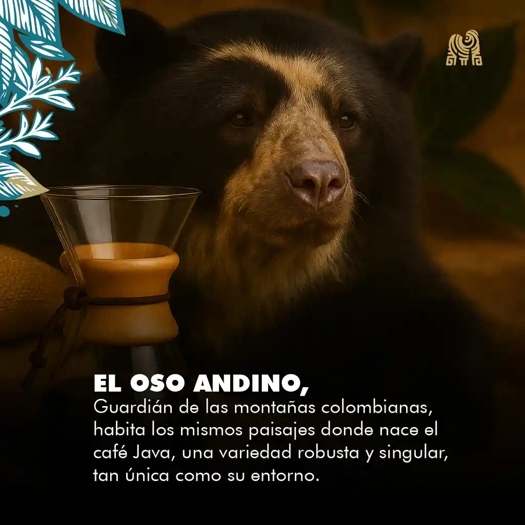 Java Lavado Grano 2,5kg