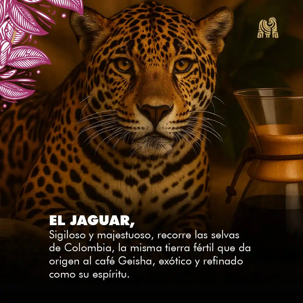 Geisha Honey Grano 2,5kg