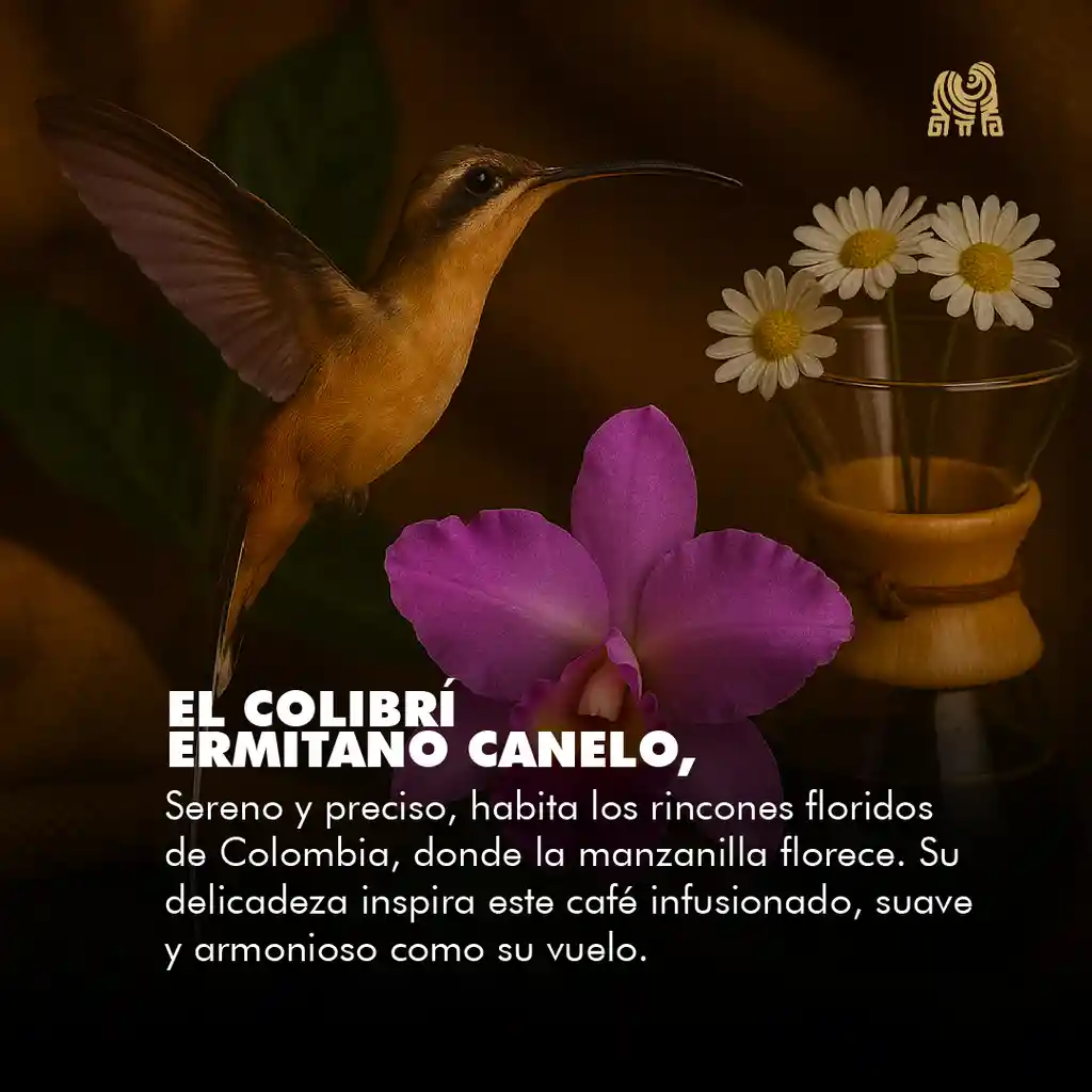 Manzanilla Grano 2,5kg