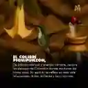 Frutos Rojos Grano 2,5kg