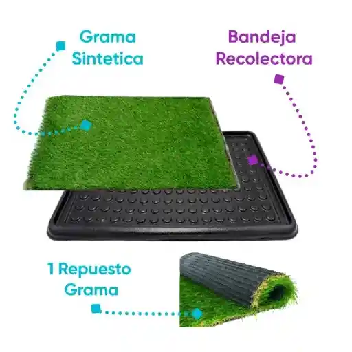Tapete Entrenador Grande + Repuesto Grama