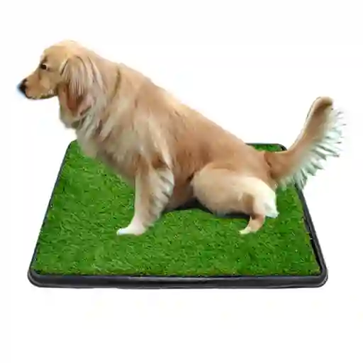 Tapete Entrenador Con Grama 76 Cm X 51 Cm Negro