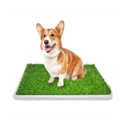 Tapete Entrenador Con Grama 76 Cm X 51 Cm Blanco