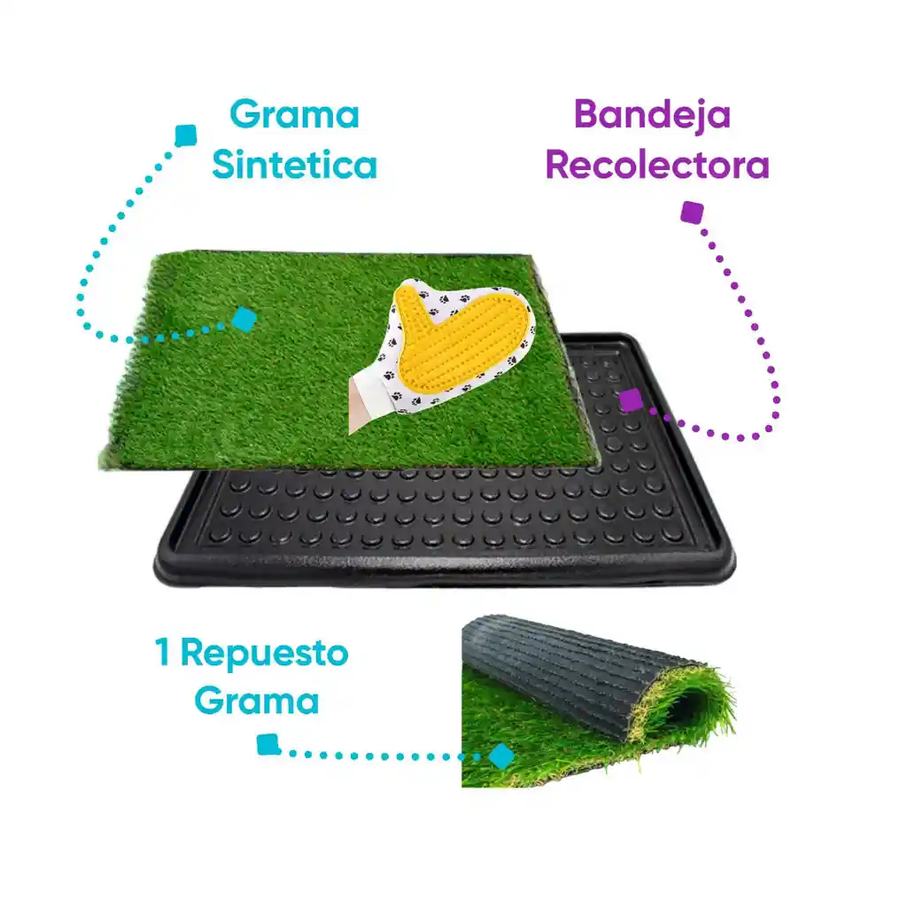 Tapete Entrenador Grande Mas Respuesto Mas Guante