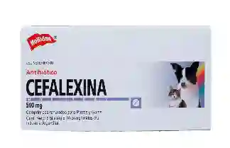 Cefalexina 500 Mg Blister X 10 Tb