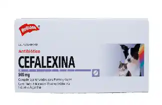 Cefalexina 500 Mg Blister X 10 Tb