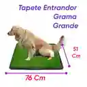 Tapete Entrenador Grande Mas Tapete Hueso Marron