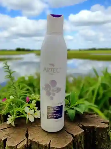 Shampoo De Uva