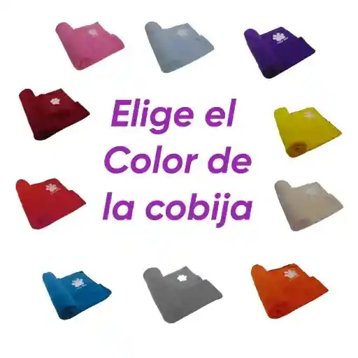 Tapete Entrenador Grande Mas Tapete Cobija Grande Morado