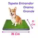 Tapete Entrenador Grande Mas Tapete Cobija Grande Azul Claro