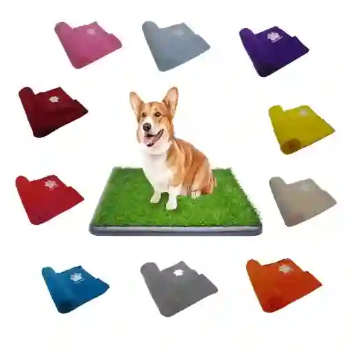 Tapete Entrenador Grande Mas Tapete Cobija Grande Amarillo