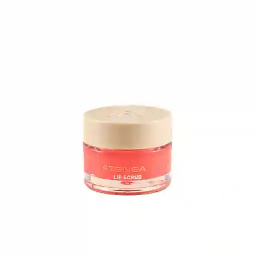 Exfoliante Para Labios Atenea Lip Scrub 10gr