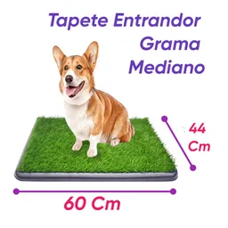 Tapete Entrenador Mediano Con Grama 60 Cm X 44 Cm