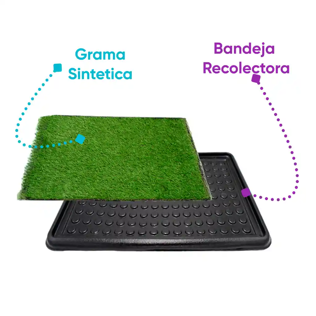 Tapete Entrenador Mediano Con Grama 60 Cm X 44 Cm