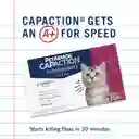 Petarmor Antipulgas X 6 Color Azul