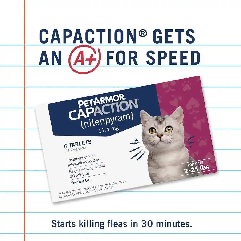 Petarmor Antipulgas X 6 Color Azul