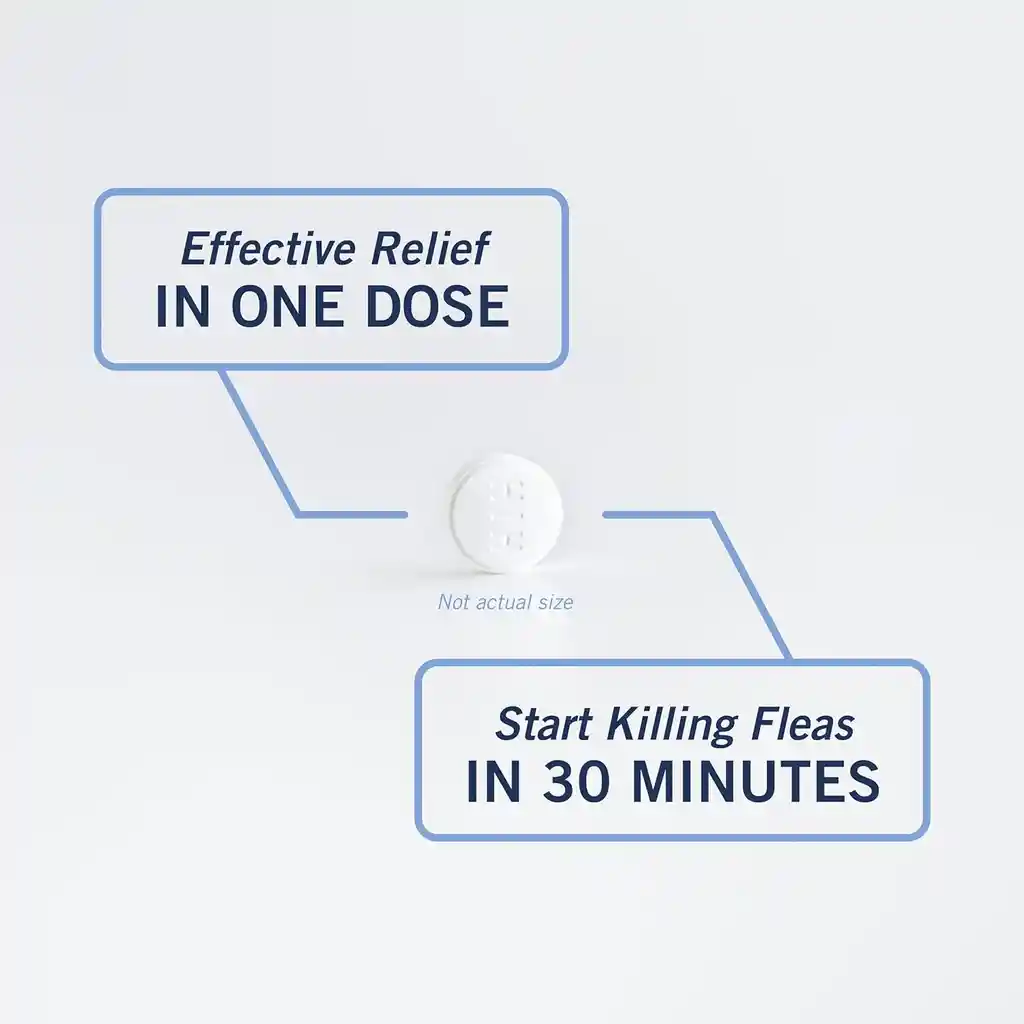 Petarmor Antipulgas X 6 Color Azul