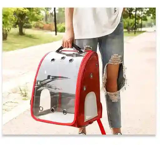 Morral Transparente Sirena Pb03a Rojo