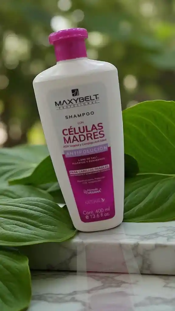 Shapoo Células Madres