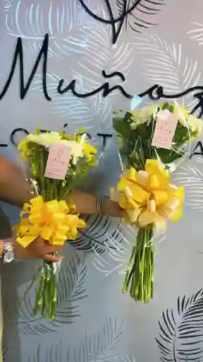 Brisa Amarilla
