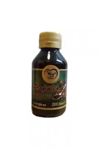 Propoleo X120ml Miel De La Vida
