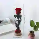 Rosa Preservada