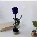 Rosa Preservada
