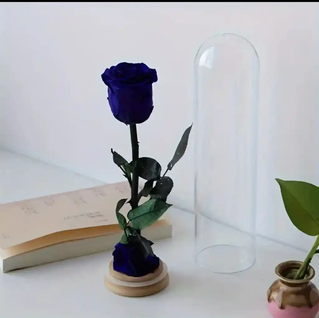 Rosa Preservada
