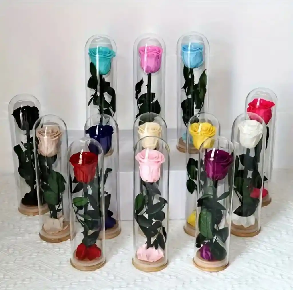 Rosa Preservada