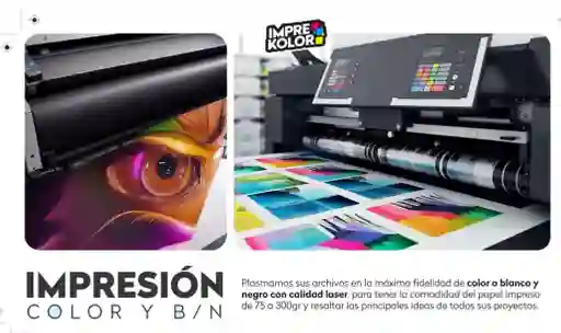 Impresion Laser Color