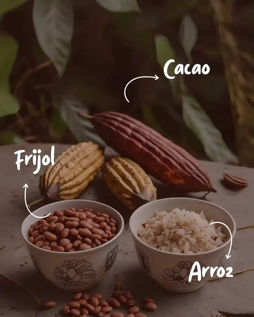 Caja X 12 Cocoa Vibes